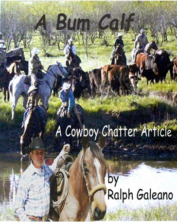 A Bum Calf A Cowboy Chatter Article - Ralph Galeano