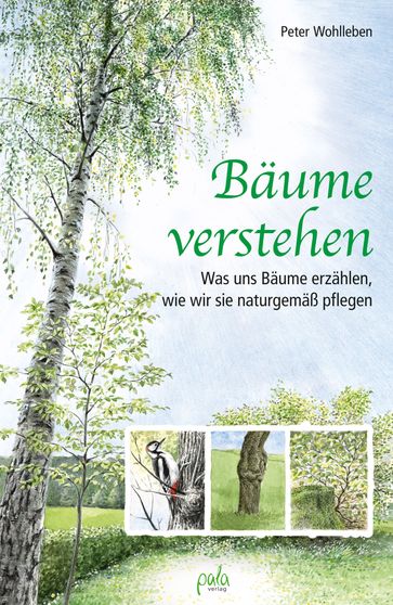 Bäume verstehen - Margret Schneevoigt - Peter Wohlleben