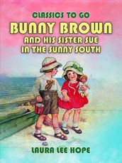 Bunny Brown And His Sister Sue In The Sunny South