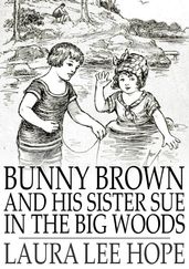 Bunny Brown and His Sister Sue in the Big Woods