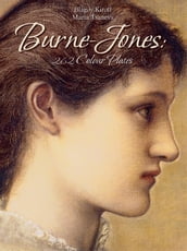 Burne-Jones: 262 Colour Plates