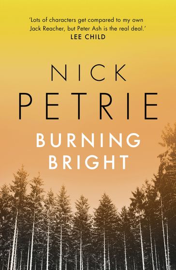 Burning Bright - Nick Petrie