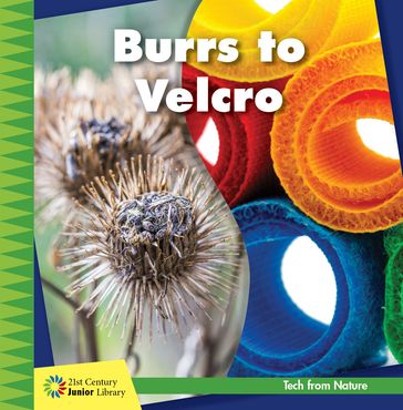 Burrs to Velcro - Jennifer Colby