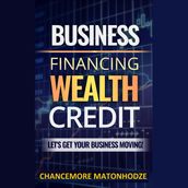Business Financing, Wealth, Credit