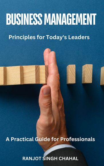 Business Management Principles for Today's Leaders: A Practical Guide for Professionals - Ranjot Singh Chahal