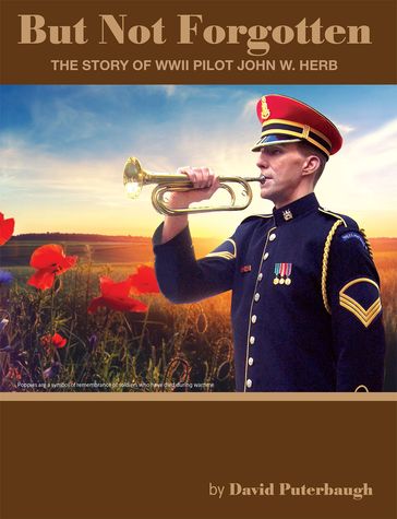 But Not Forgotten The Story of WWII Pilot John W. Herb - David Puterbaugh