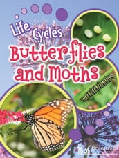 Butterflies and Moths