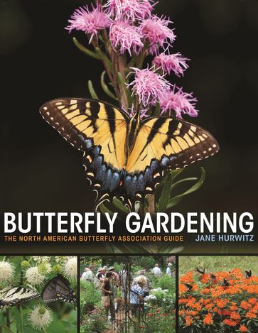 Butterfly Gardening - Jane Hurwitz