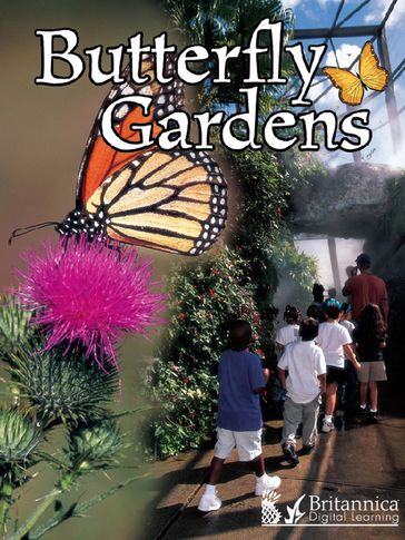 Butterfly Gardens - Jennifer Gillis