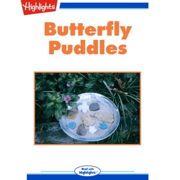 Butterfly Puddles - Cindy Blobaum