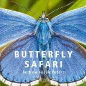 Butterfly Safari