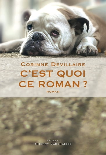 C'est quoi ce roman ? - Corinne DEVILLAIRE