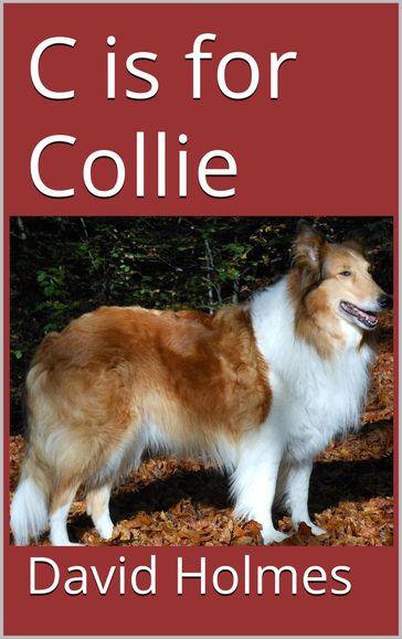 C is for Collie - David Holmes