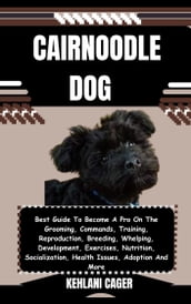 CAIRNOODLE DOG