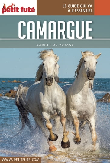 CAMARGUE 2017 Carnet Petit Futé - Dominique Auzias - Jean-Paul Labourdette