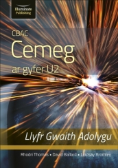 CBAC CEMEG U2 LLYFR GWAITH ADOLYGU (WJEC CHEMISTRY FOR A2 LEVEL - REVISION WORKBOOK)