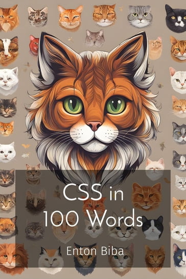 CSS in 100 Words - Enton Biba