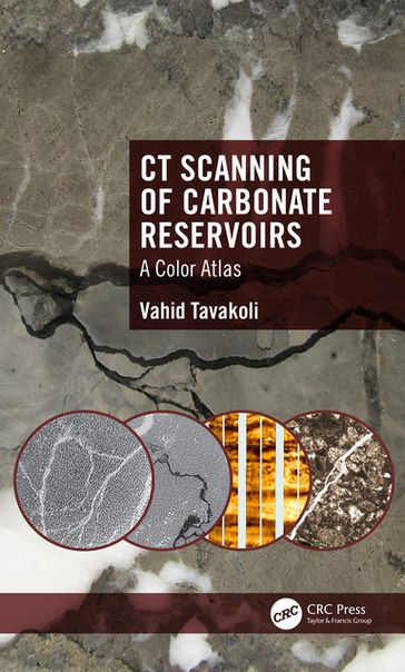 CT Scanning of Carbonate Reservoirs - Vahid Tavakoli
