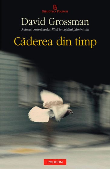 Caderea din timp - David Grossman