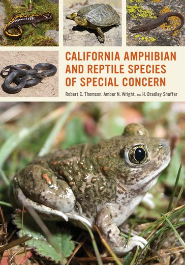 California Amphibian and Reptile Species of Special Concern - Robert C. Thomson