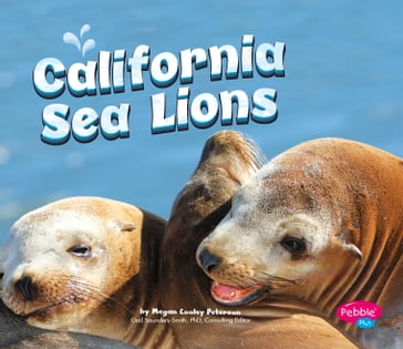 California Sea Lions - Megan C Peterson