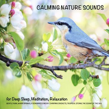 Calming Nature Sounds (without music) for Deep Sleep, Meditation, Relaxation - Yella A. Deeken