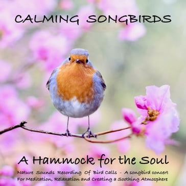 Calming Songbirds: Nature Sounds Recording Of Bird Calls - A songbird concert for Meditation, Relaxation and Creating a Soothing Atmosphere - Yella A. Deeken