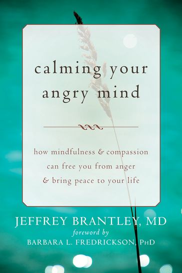 Calming Your Angry Mind - MD Jeffrey Brantley