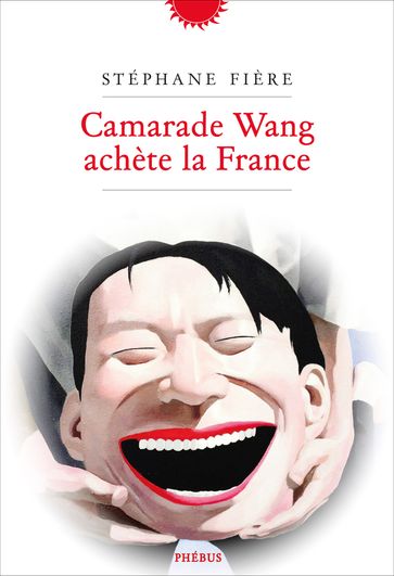 Camarade Wang achète la France - Stéphane Fière