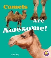 Camels Are Awesome!