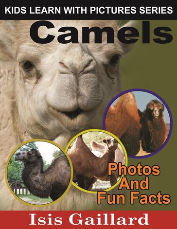 Camels Photos and Fun Facts for Kids - Isis Gaillard