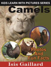 Camels Photos and Fun Facts for Kids