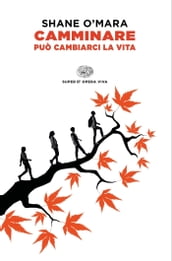 Camminare può cambiarci la vita