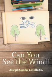 Can You See The Wind!