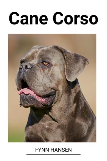 Cane Corso - Fynn Hansen