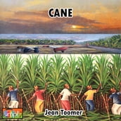 Cane is the Only Novel by American Black Poet Jean Toomer