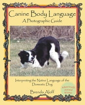 Canine Body Language