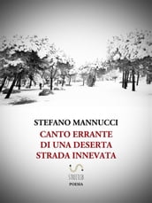 Canto errante di una deserta strada innevata