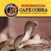 Cape Cobra: Africa