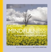 Capturing Mindfulness