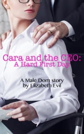 Cara and the CEO: A Hard First Day