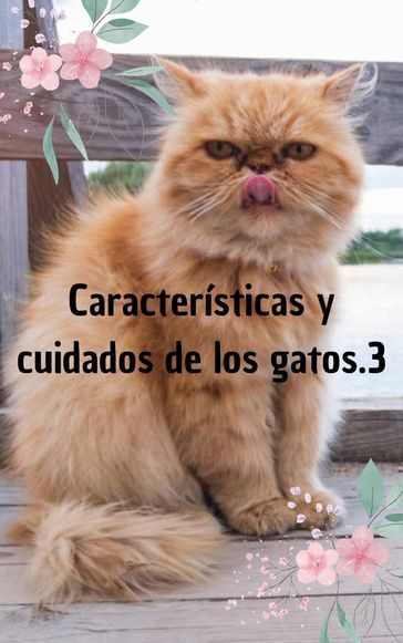 Características y cuidados de los gatos - Margarita Alvarado
