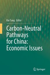 Carbon-Neutral Pathways for China: Economic Issues