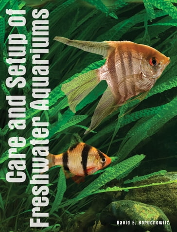 Care and Setup of Freshwater Aquariums - David E. Boruchowitz