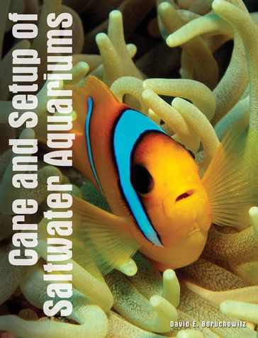 Care and Setup of Saltwater Aquariums - David E. Boruchowitz