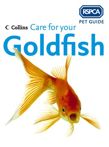 Care for your Goldfish (RSPCA Pet Guide) - RSPCA