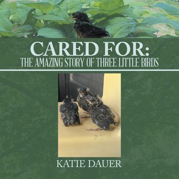 Cared For: - Katie Dauer