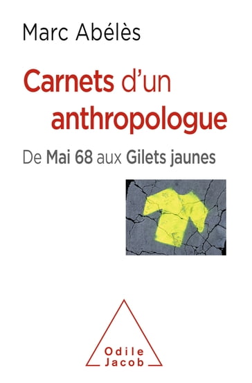 Carnets d'un anthropologue - Marc Abélès