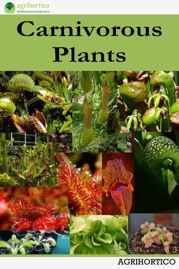 Carnivorous Plants - Agrihortico CPL