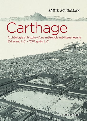 Carthage - Archéologie et histoire d'une métropole méditerranéenne 814 avant J.-C. - 1270 après J.-C - Samir Aounallah - Jean-Claude Golvin